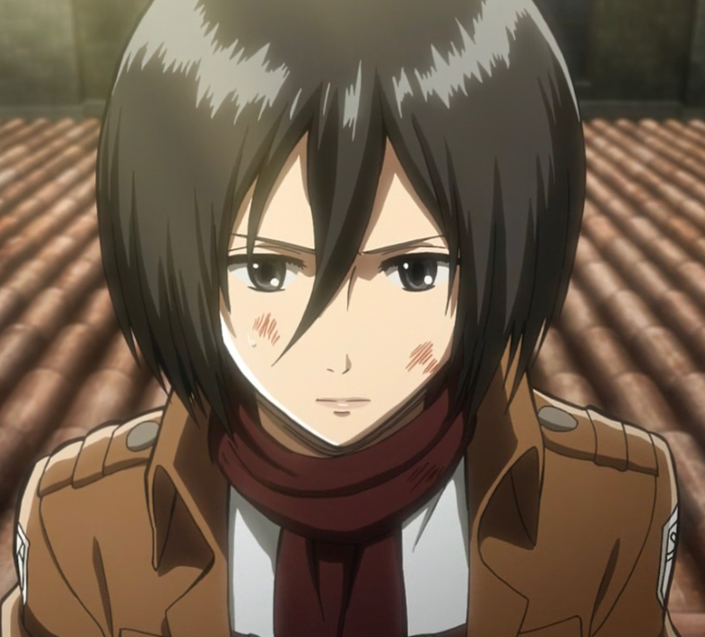 Mikasa